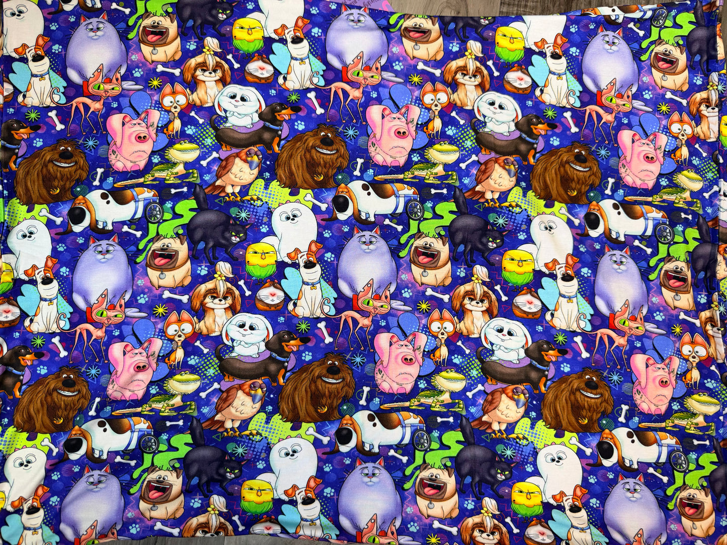Unleashed & Unsupervised Pillowcase