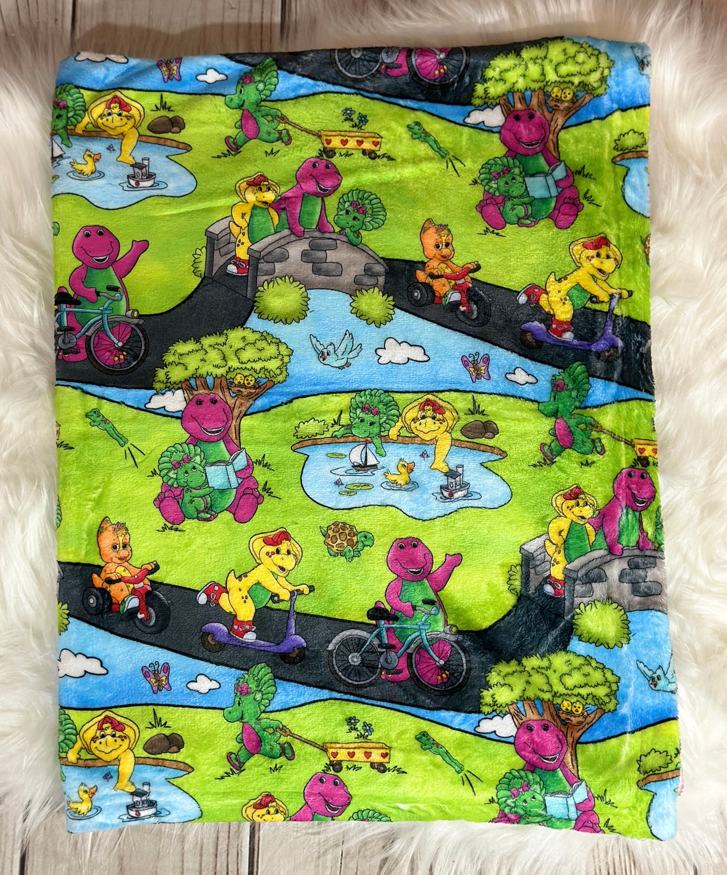 30x40 Imagination Dino Silk Touch Minky