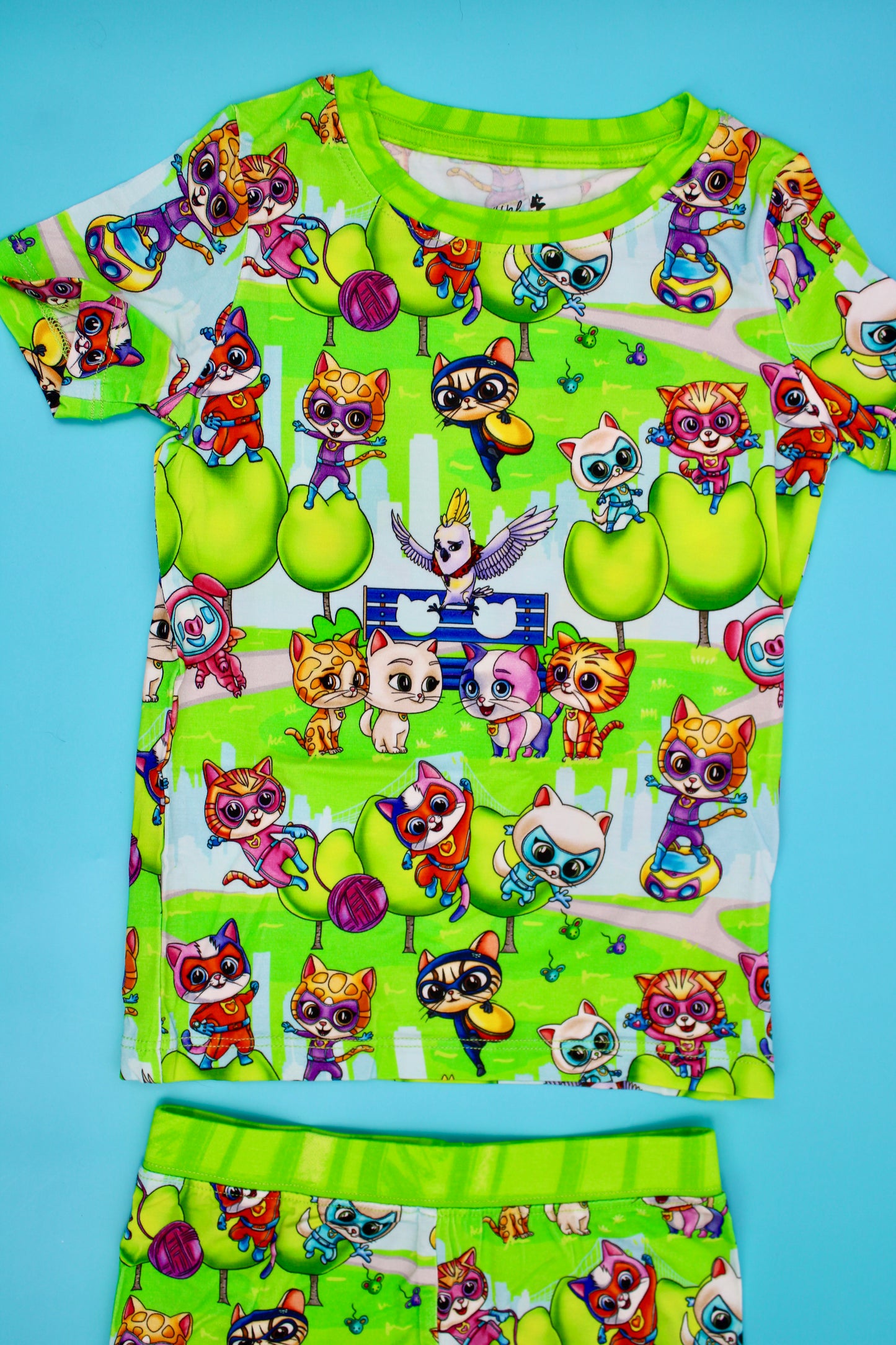 Paws of Justice Short Set