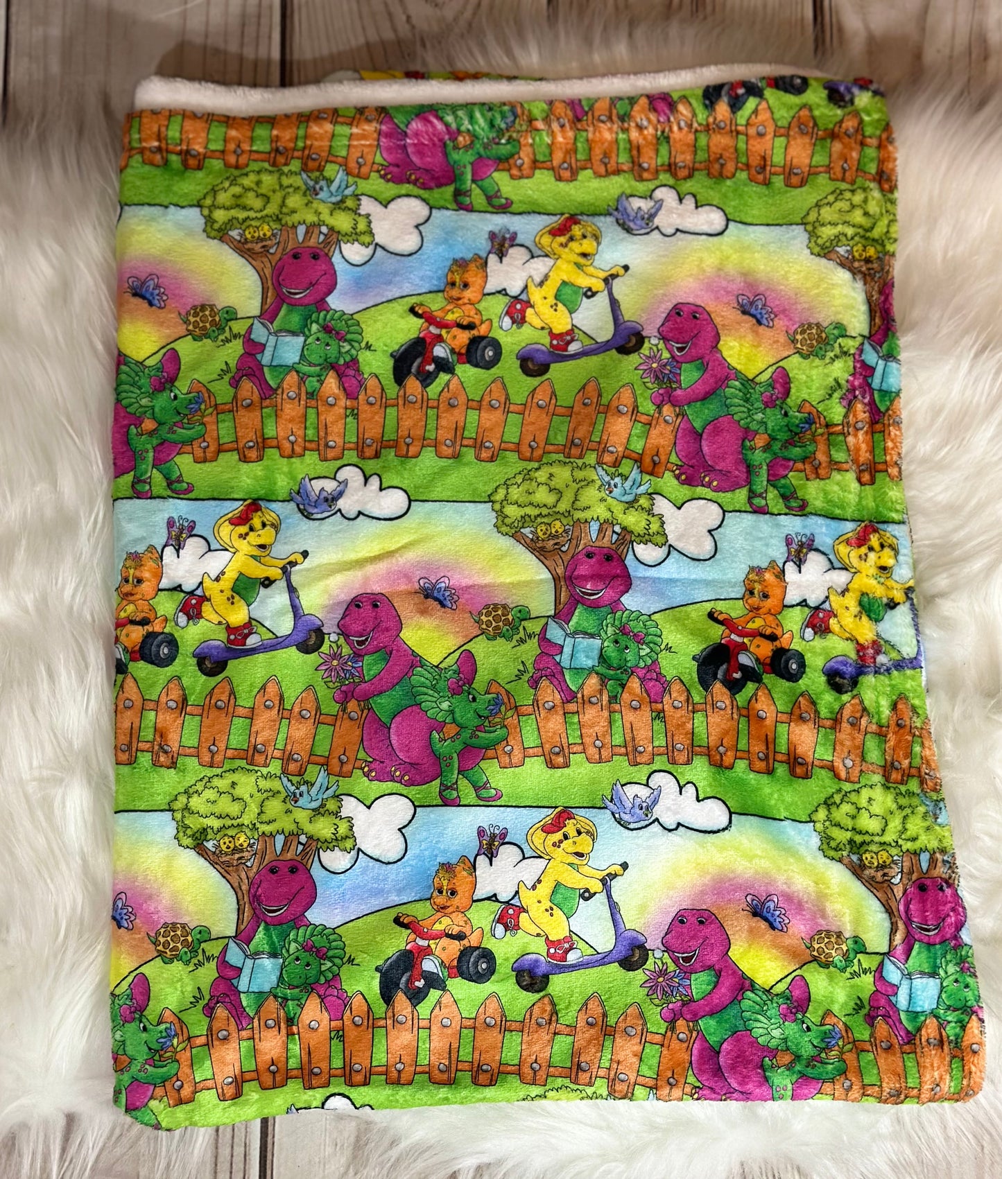 30x40 Friendly Dino Friends Silk Touch Minky